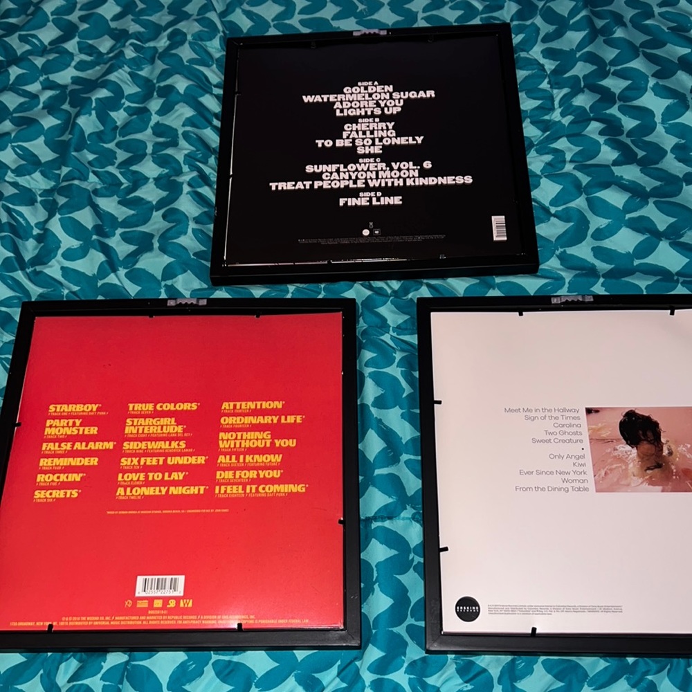 3 Vinyl frames - Picture 2 of 7